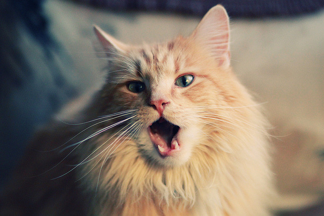 世界杯中国女足逆转 球员发挥超出预期,世界杯中国女足最好成绩