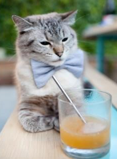 中国足球青少年项目拓展至山区及边远地区，中国青少年足球发展规划纲要