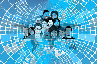 开云体育官方网站登陆-美国队赛制分析：赛制中的人员调整与战术变化，美国队训练赛