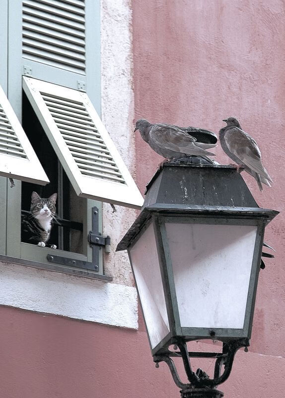 体育游戏与真实运动融合引领新风潮,体育游戏和体育活动有什么关系